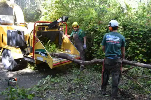 tree services Red Level